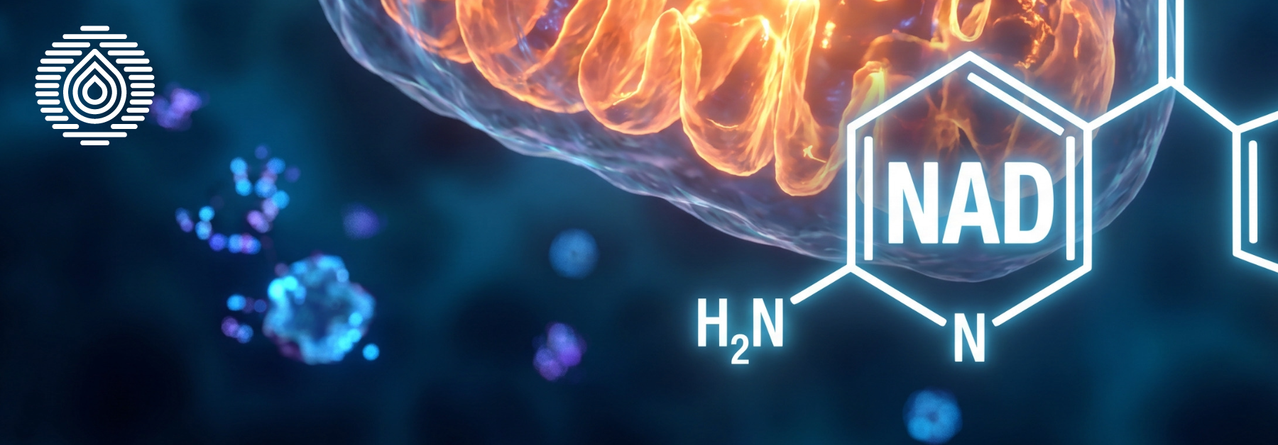 What Should You Know Before Trying NAD+ Therapy?