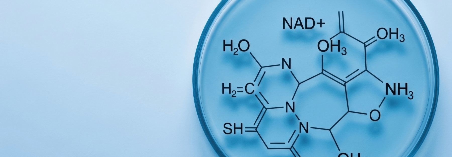 NAD+ Injections vs. IV Infusions: What’s the Difference?